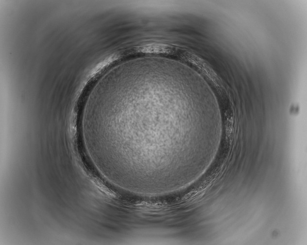 X0000099410727200805161021