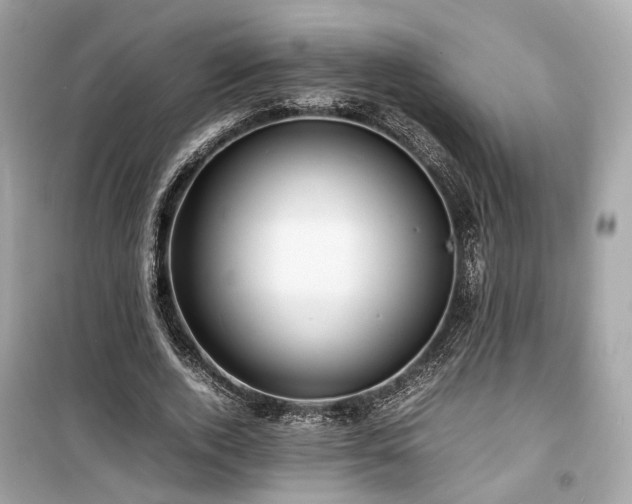 X0000099410728200805161021