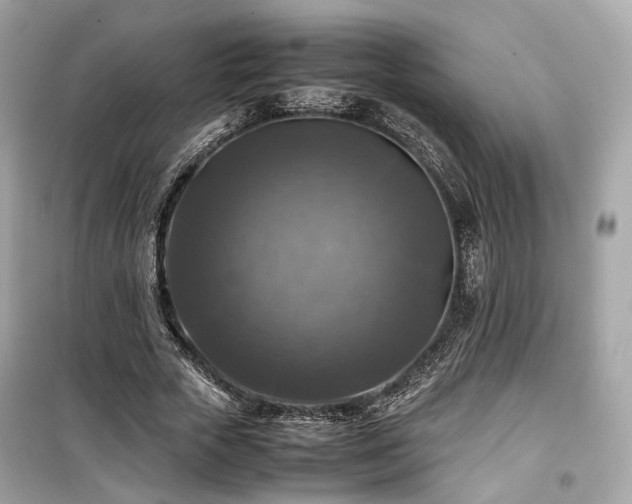 X0000099410729200805161021