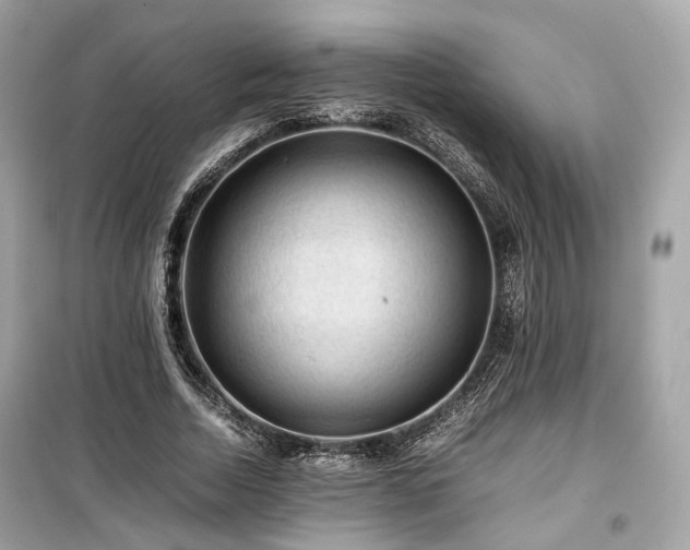 X0000099410730200805161021