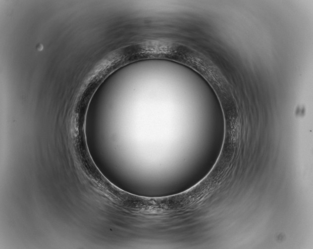 X0000099410731200805161021