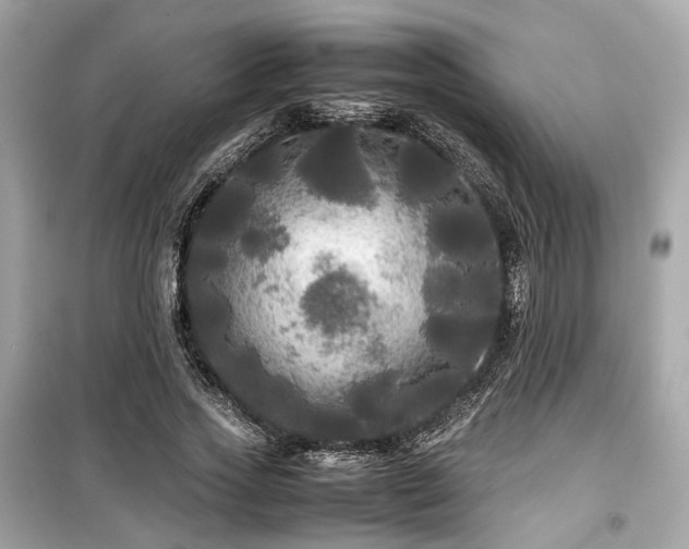 X0000099410733200805161021