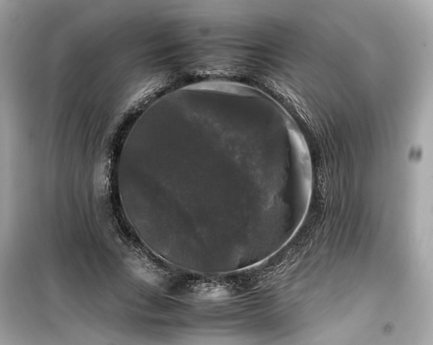 X0000099410735200805161021