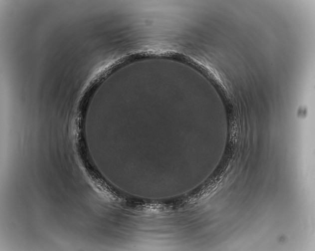 X0000099410736200805161021
