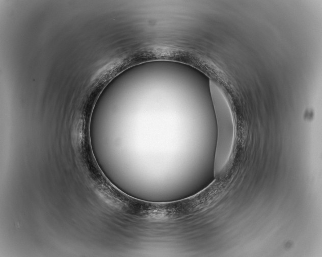 X0000099410740200805161021
