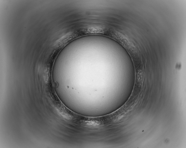 X0000099410741200805161021