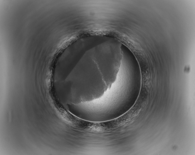X0000099410742200805161021