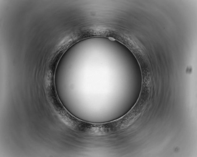 X0000099410744200805161021