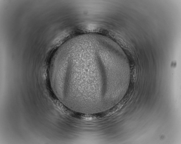 X0000099410746200805161021