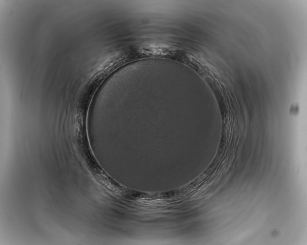 X0000099410747200805161021