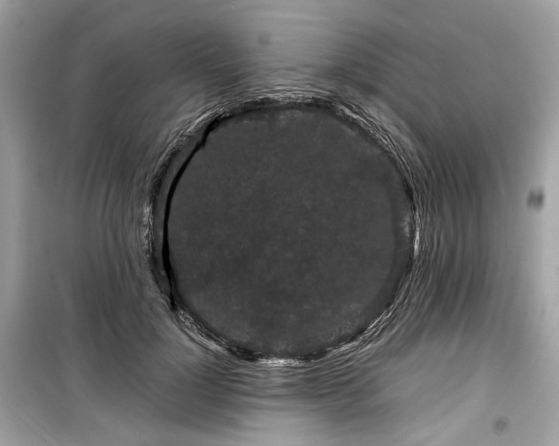 X0000099410748200805161021