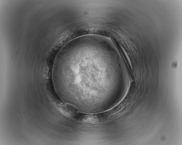 X0000099410750200805161021