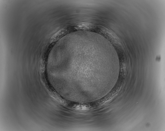 X0000099410751200805161021
