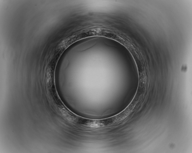 X0000099410754200805161021