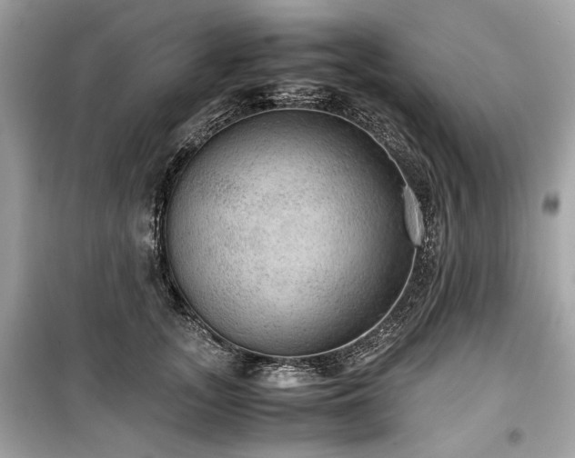 X0000099410755200805161021