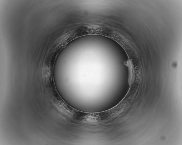 X0000099410756200805161021
