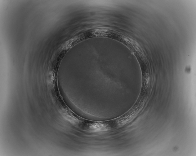 X0000099410759200805161021