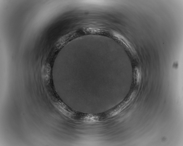 X0000099410760200805161021