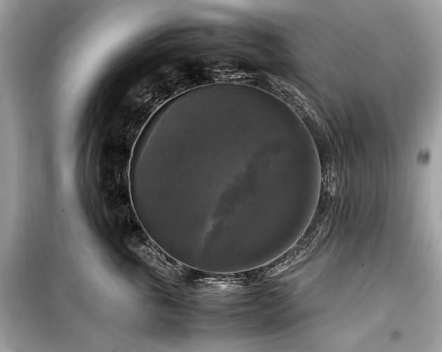 X0000099410763200805161021