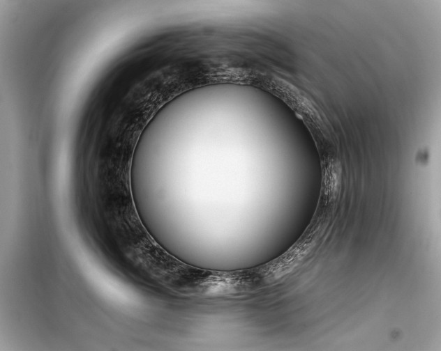 X0000099410764200805161021