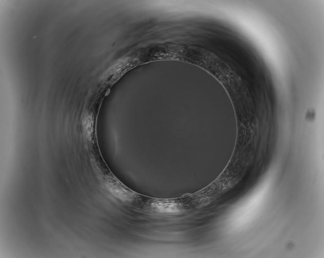 X0000099410767200805161021