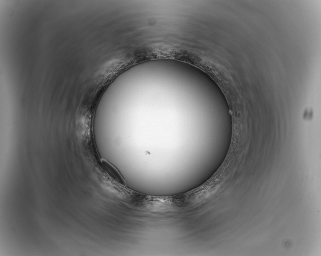 X0000099410768200805161021