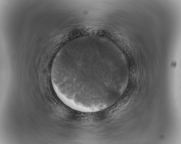 X0000099410769200805161021