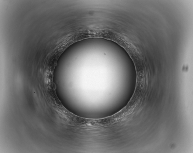 X0000099410770200805161021