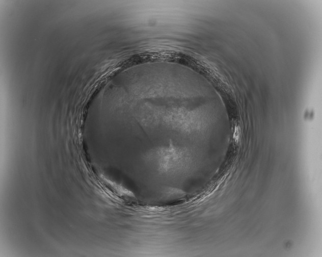 X0000099410771200805161021