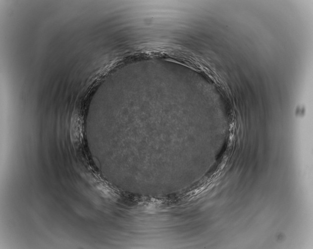 X0000099410772200805161020