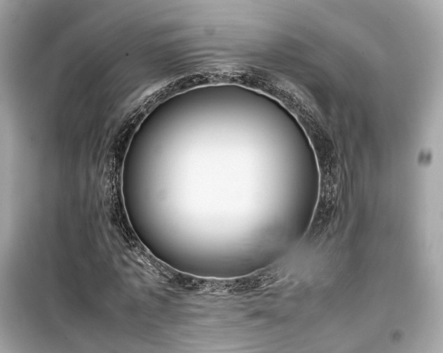 X0000099410773200805161020