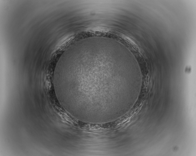 X0000099410774200805161020