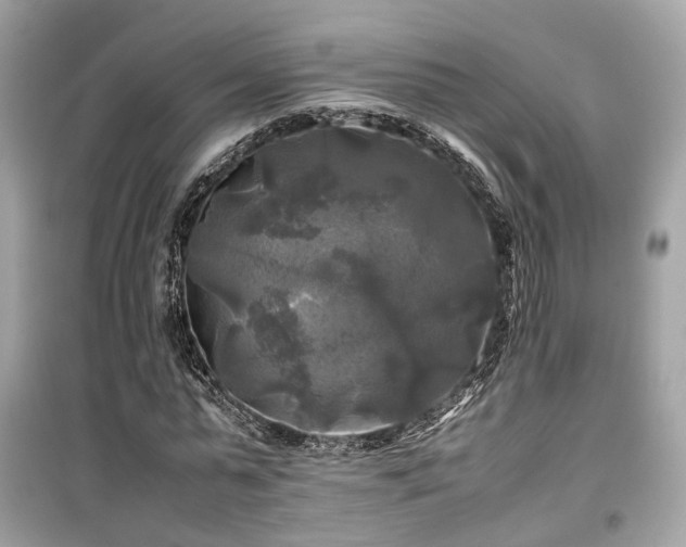 X0000099410775200805161020