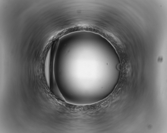 X0000099410776200805161020