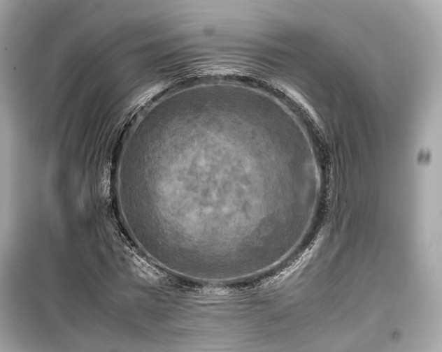 X0000099410777200805161020