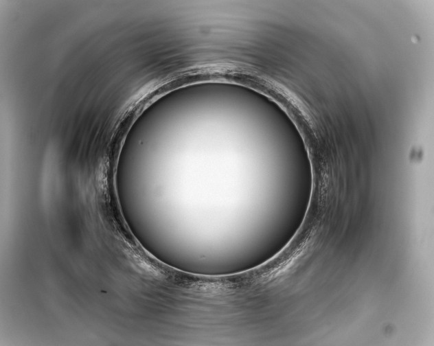 X0000099410778200805161020
