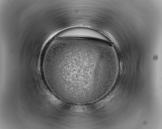 X0000099410780200805161020