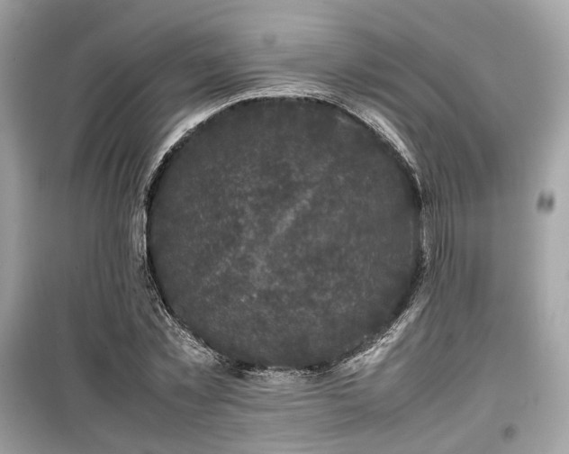 X0000099410781200805161020