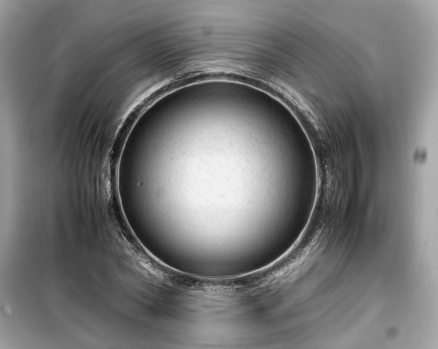 X0000099410782200805161020