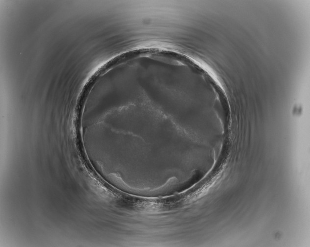 X0000099410783200805161020