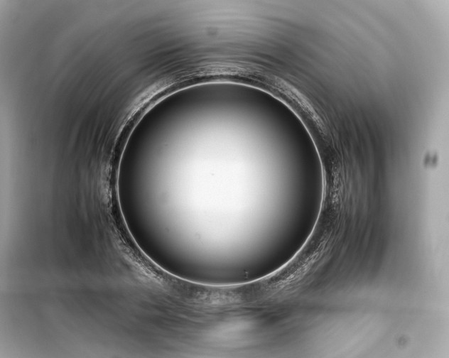 X0000099410786200805161020