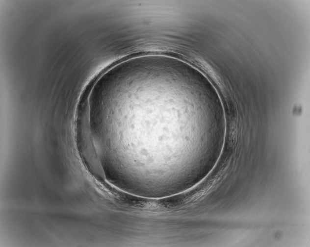 X0000099410787200805161020