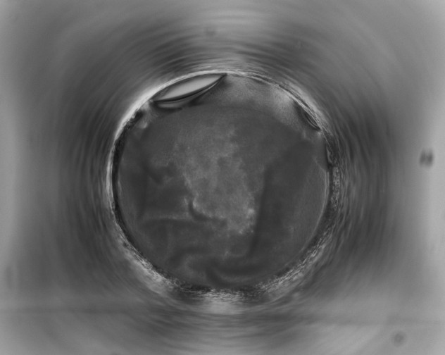 X0000099410788200805161020