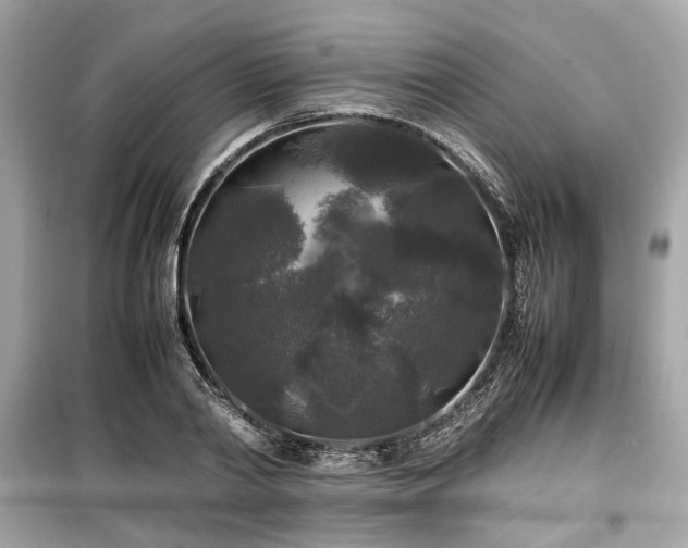 X0000099410790200805161020