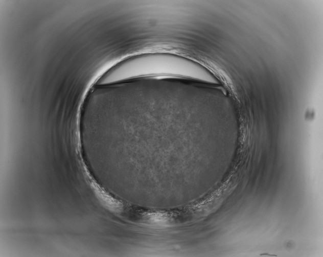 X0000099410792200805161020