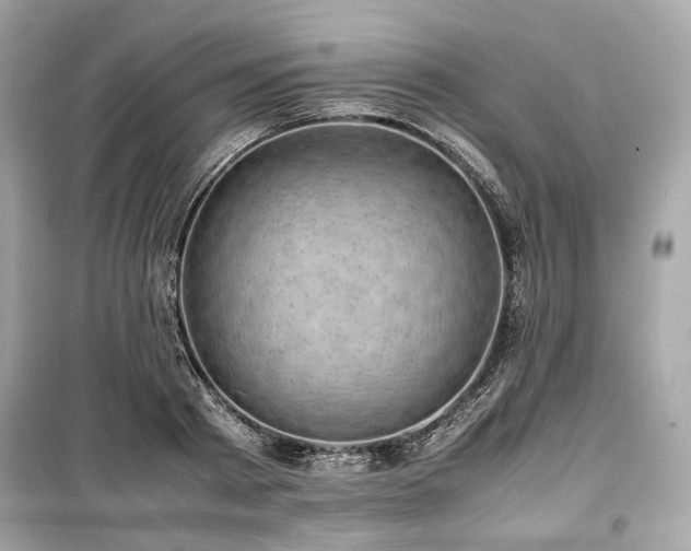 X0000099410793200805161020