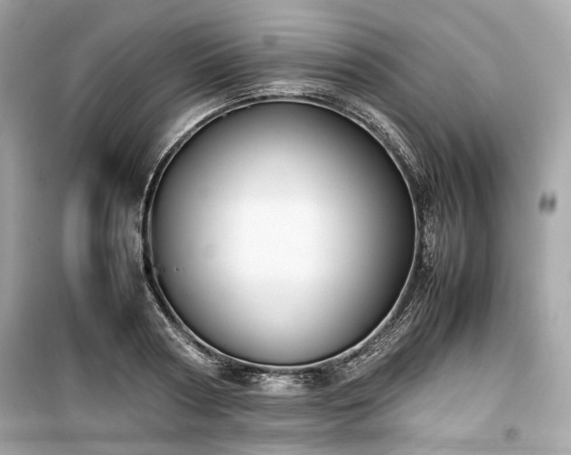 X0000099410794200805161020