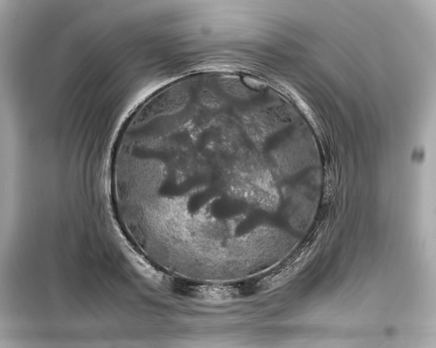X0000099410795200805161020