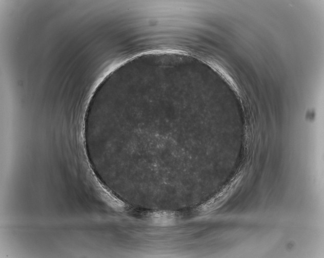 X0000099410797200805161020