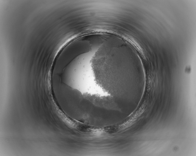 X0000099410798200805161020
